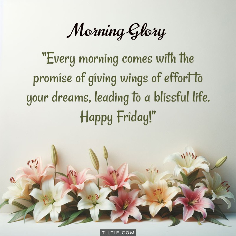 Every morning comes with the promise of giving wings of effort to your dreams, leading to a blissful life. Happy Friday!