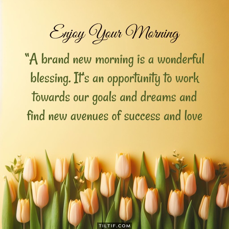 A brand new morning is a wonderful blessing. It’s an opportunity to work towards our goals and dreams and find new avenues of success and love in life.