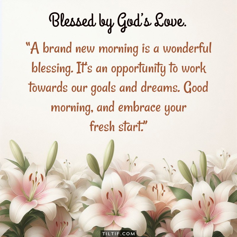 A brand new morning is a wonderful blessing. It’s an opportunity to work towards our goals and dreams. Good morning, and embrace your fresh start.