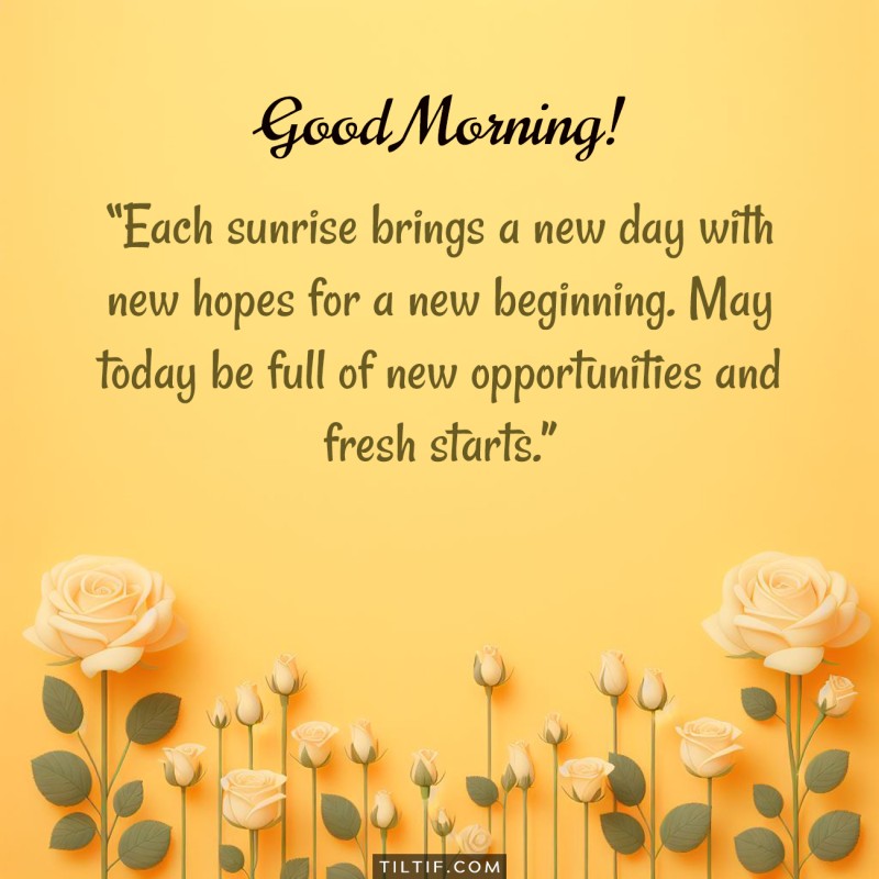 Good morning! Each sunrise brings a new day with new hopes for a new beginning. May today be full of new opportunities and fresh starts.