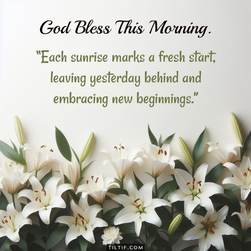 Good morning! Each sunrise marks a fresh start, leaving yesterday behind and embracing new beginnings.