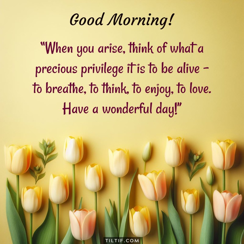 Good Morning! When you arise, think of what a precious privilege it is to be alive - to breathe, to think, to enjoy, to love. Have a wonderful day!