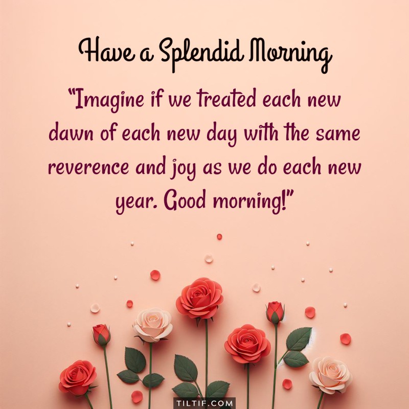 Imagine if we treated each new dawn of each new day with the same reverence and joy as we do each new year. Good morning!