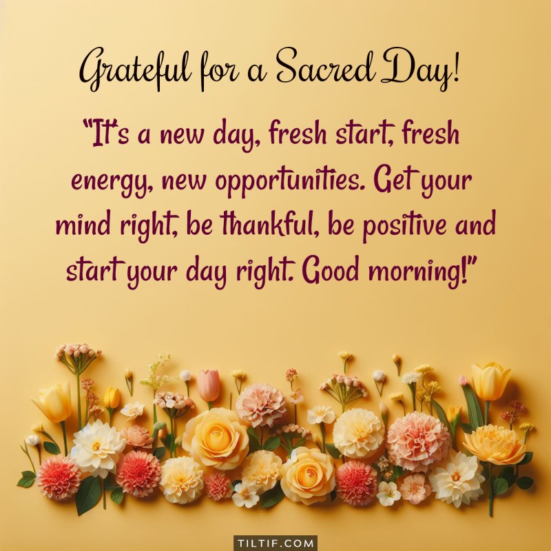 It’s a new day, fresh start, fresh energy, new opportunities. Get your mind right, be thankful, be positive and start your day right. Good morning!