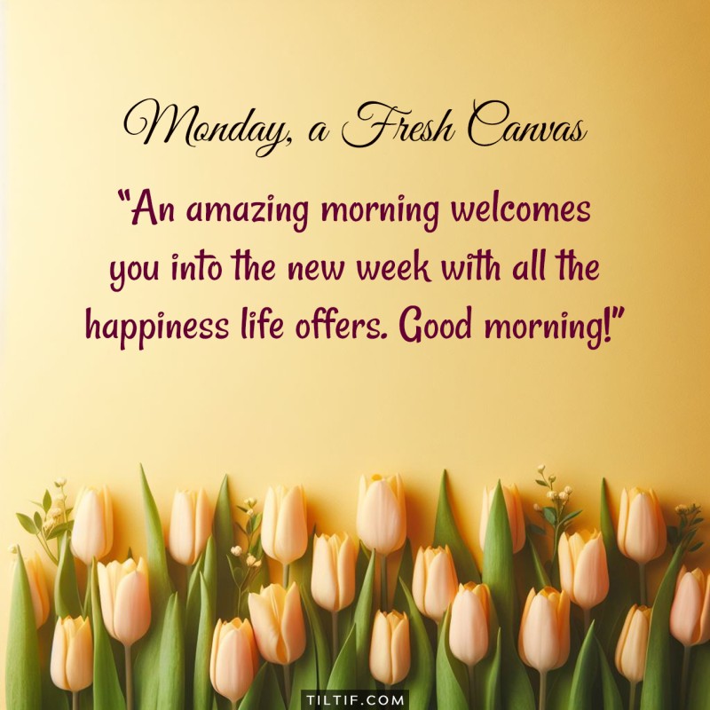 An amazing morning welcomes you into the new week with all the happiness life offers. Good morning!