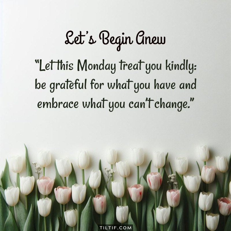 Let this Monday treat you kindly: be grateful for what you have and embrace what you can’t change.