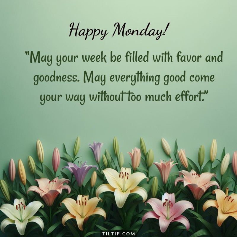 May your week be filled with favor and goodness. May everything good come your way without too much effort. Happy Monday.