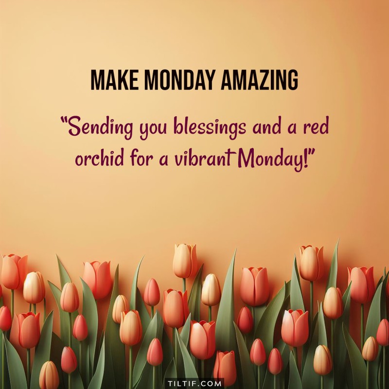 Sending you blessings and a red orchid for a vibrant Monday!