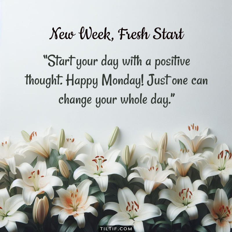 Start your day with a positive thought. Happy Monday! Just one can change your whole day.