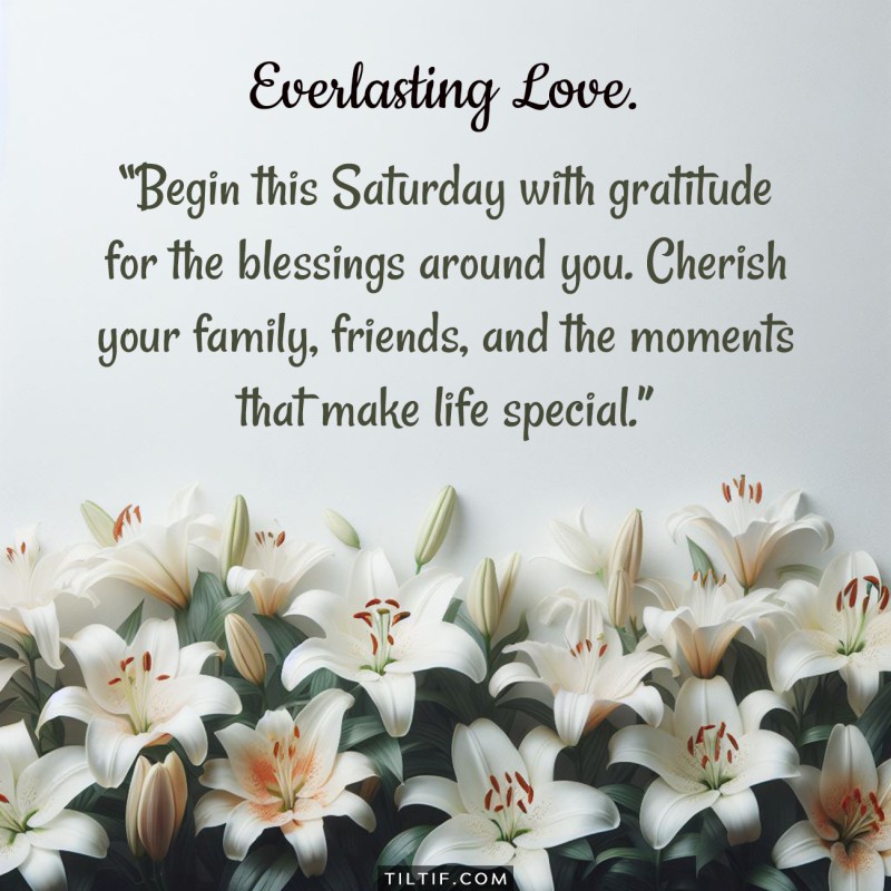 Begin this Saturday with gratitude for the blessings around you. Cherish your family, friends, and the moments that make life special.