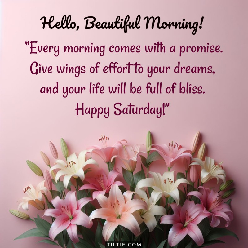 Every morning comes with a promise. Give wings of effort to your dreams, and your life will be full of bliss. Happy Saturday!