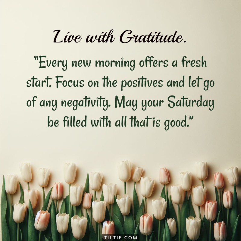 Every new morning offers a fresh start. Focus on the positives and let go of any negativity. May your Saturday be filled with all that is good.