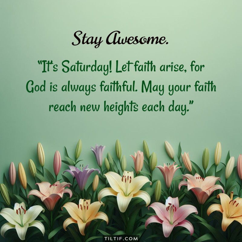 It’s Saturday! Let faith arise, for God is always faithful. May your faith reach new heights each day.