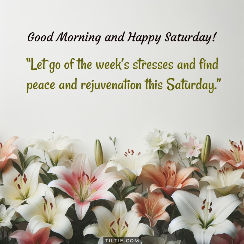 Let go of the week’s stresses and find peace and rejuvenation this Saturday. Good morning and happy Saturday!