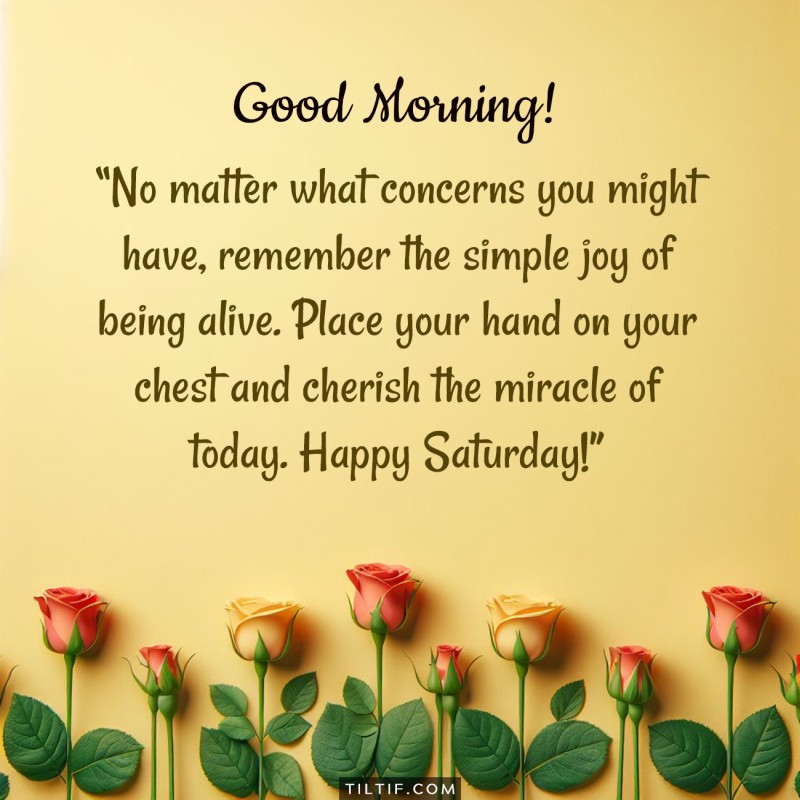 No matter what concerns you might have, remember the simple joy of being alive. Place your hand on your chest and cherish the miracle of today. Happy Saturday!