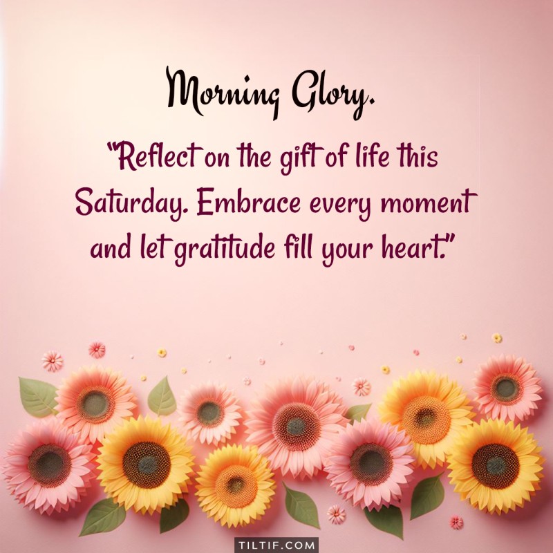 Reflect on the gift of life this Saturday. Embrace every moment and let gratitude fill your heart.