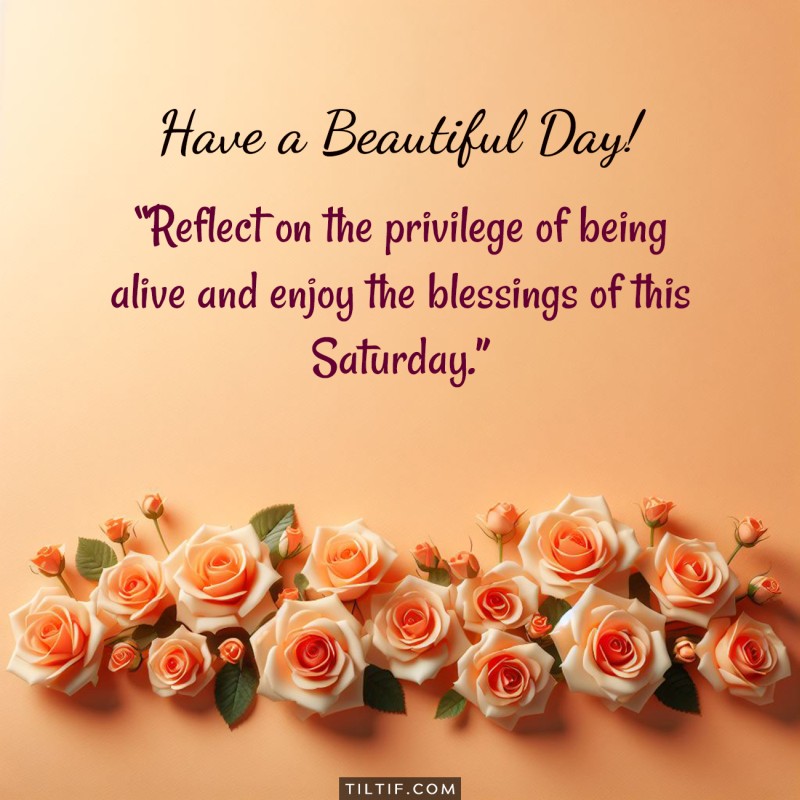 Reflect on the privilege of being alive and enjoy the blessings of this Saturday. Have a beautiful day!