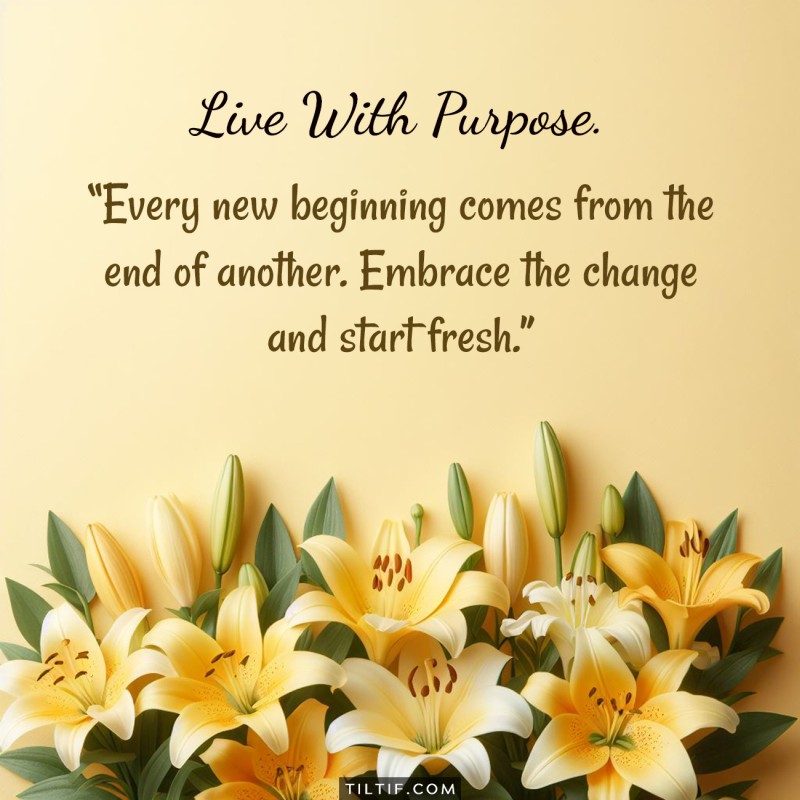 Every new beginning comes from the end of another. Embrace the change and start fresh.