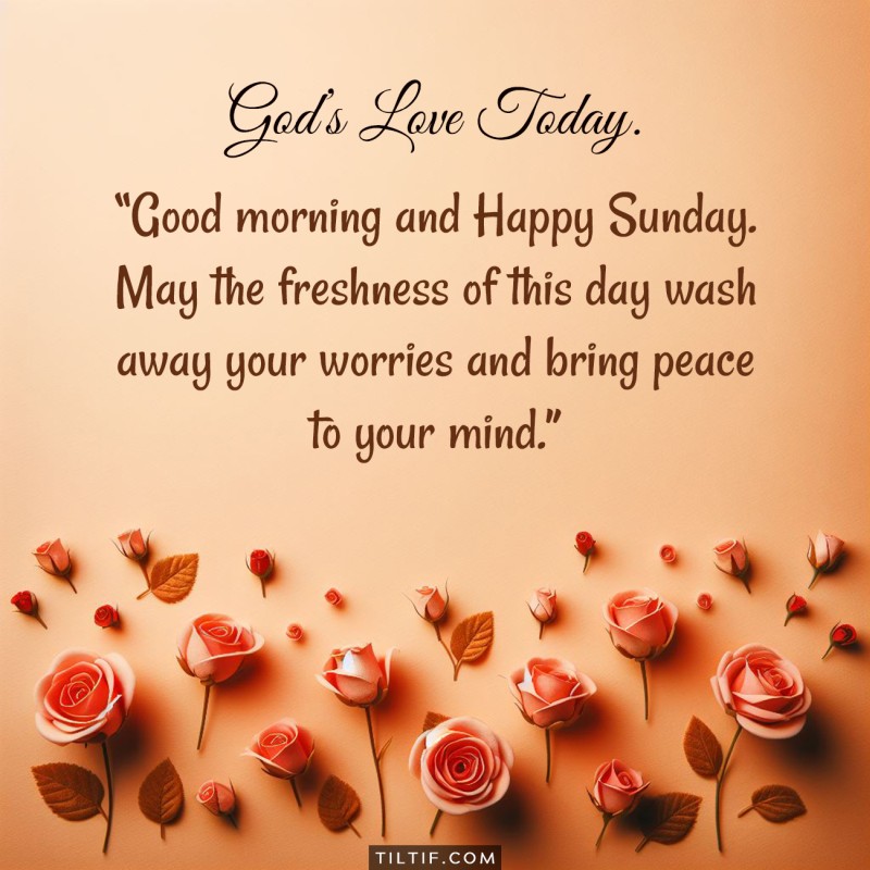 Good morning and Happy Sunday. May the freshness of this day wash away your worries and bring peace to your mind.