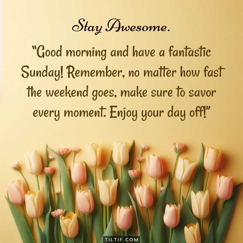 Good morning and have a fantastic Sunday! Remember, no matter how fast the weekend goes, make sure to savor every moment. Enjoy your day off!