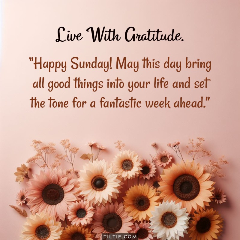 Happy Sunday! May this day bring all good things into your life and set the tone for a fantastic week ahead.