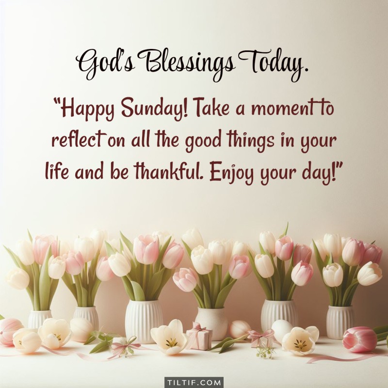 Happy Sunday! Take a moment to reflect on all the good things in your life and be thankful. Enjoy your day!