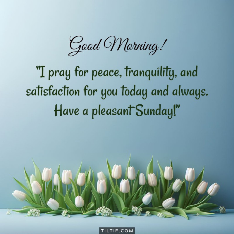 I pray for peace, tranquility, and satisfaction for you today and always. Have a pleasant Sunday!