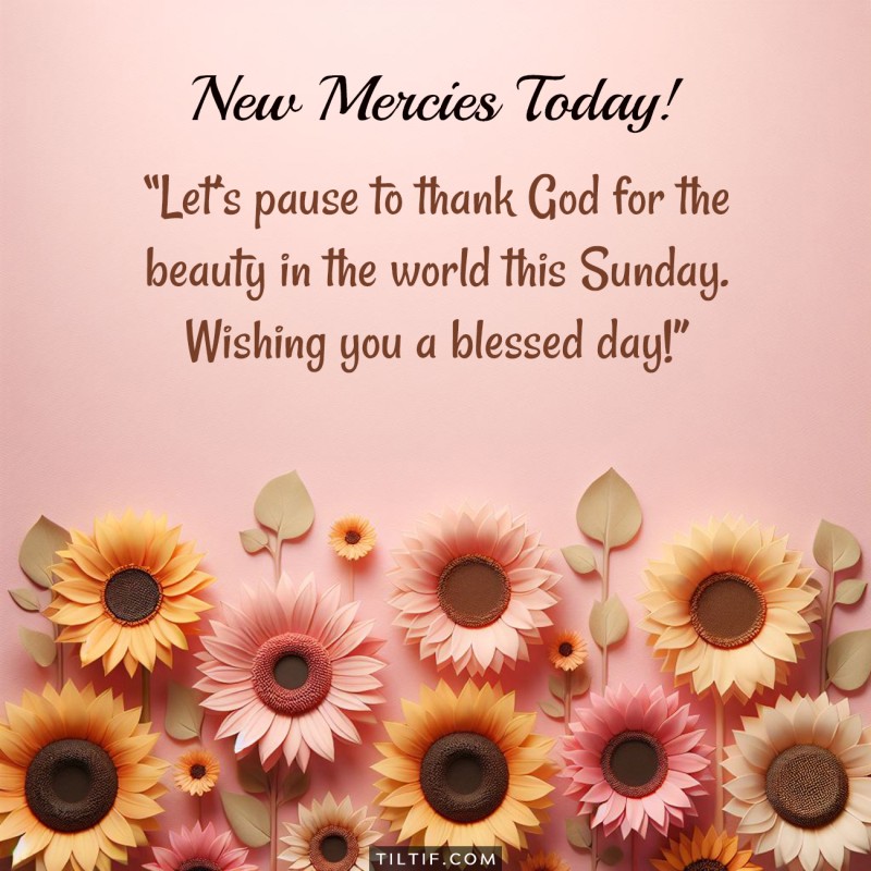 Let’s pause to thank God for the beauty in the world this Sunday. Wishing you a blessed day!