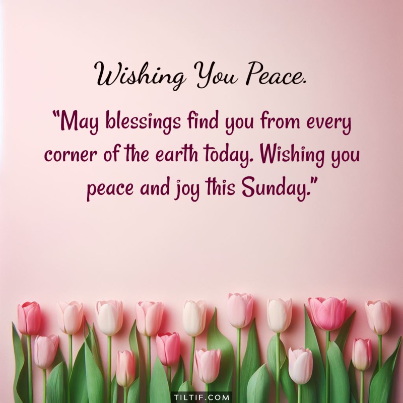 May blessings find you from every corner of the earth today. Wishing you peace and joy this Sunday.