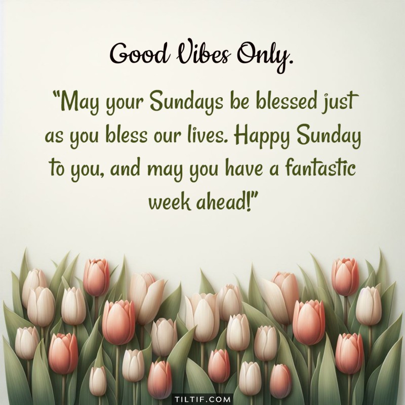 May your Sundays be blessed just as you bless our lives. Happy Sunday to you, and may you have a fantastic week ahead!