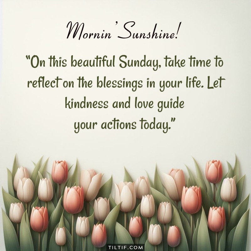 On this beautiful Sunday, take time to reflect on the blessings in your life. Let kindness and love guide your actions today.