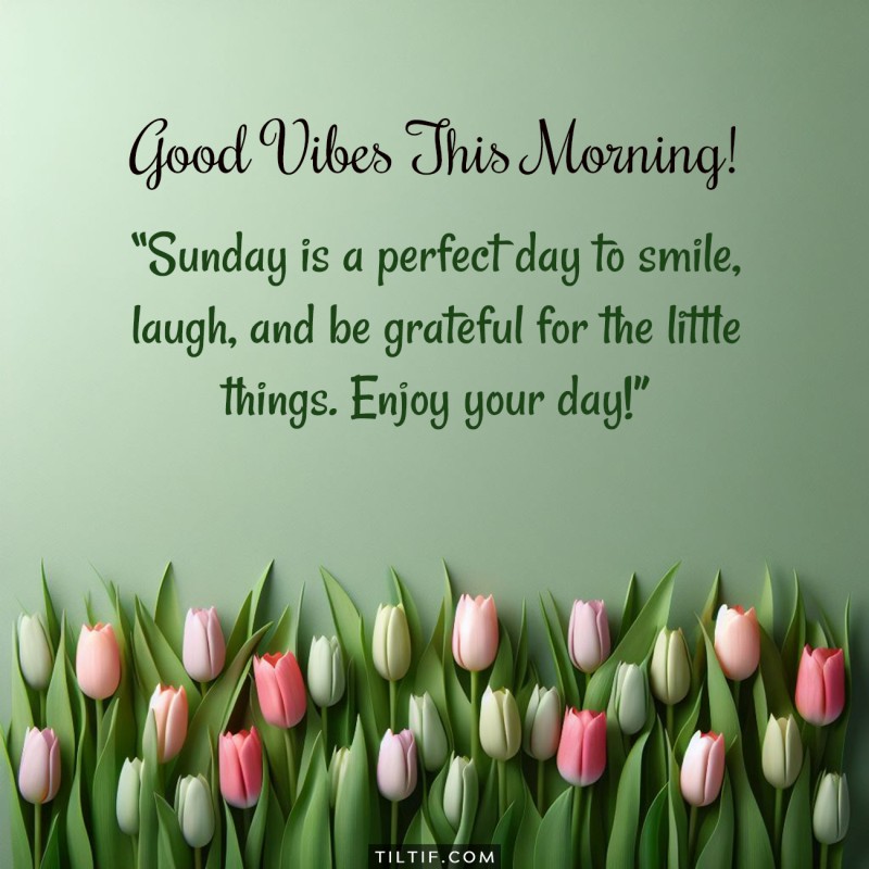 Sunday is a perfect day to smile, laugh, and be grateful for the little things. Enjoy your day!