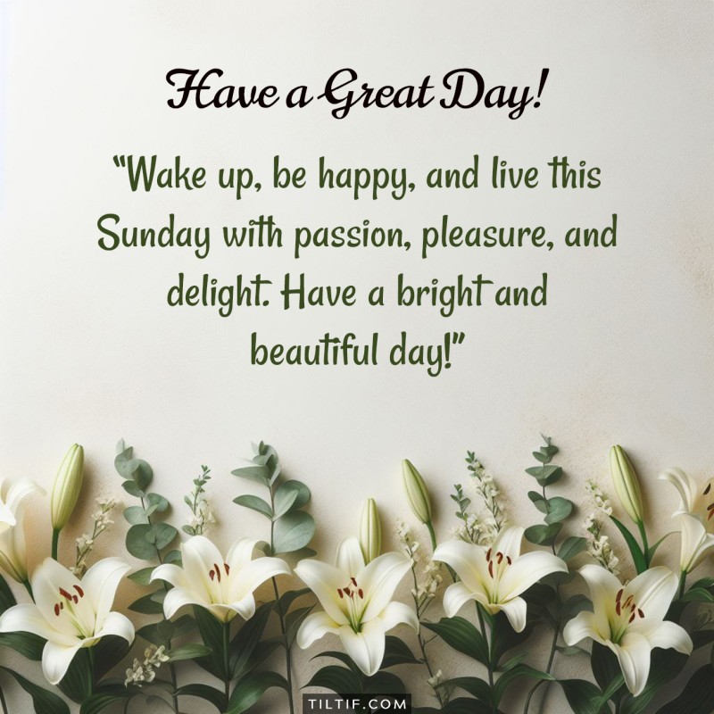 Wake up, be happy, and live this Sunday with passion, pleasure, and delight. Have a bright and beautiful day!