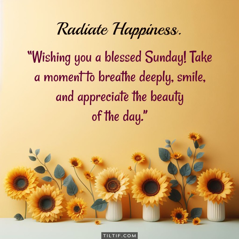 Wishing you a blessed Sunday! Take a moment to breathe deeply, smile, and appreciate the beauty of the day.