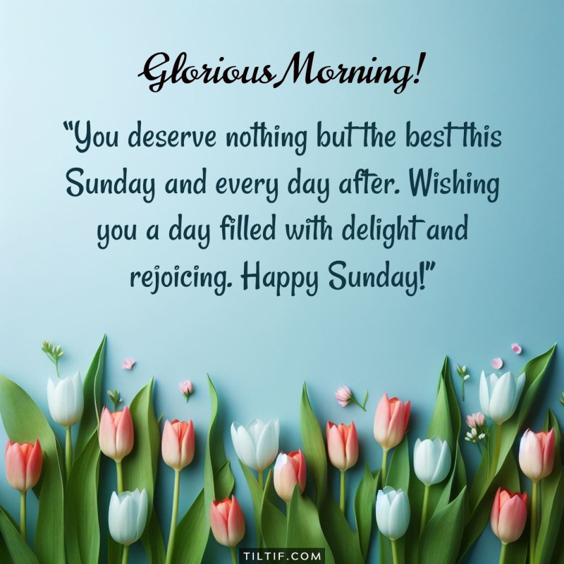 You deserve nothing but the best this Sunday and every day after. Wishing you a day filled with delight and rejoicing. Happy Sunday!