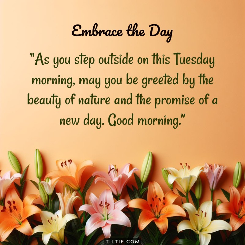 As you step outside on this Tuesday morning, may you be greeted by the beauty of nature and the promise of a new day. Good morning.