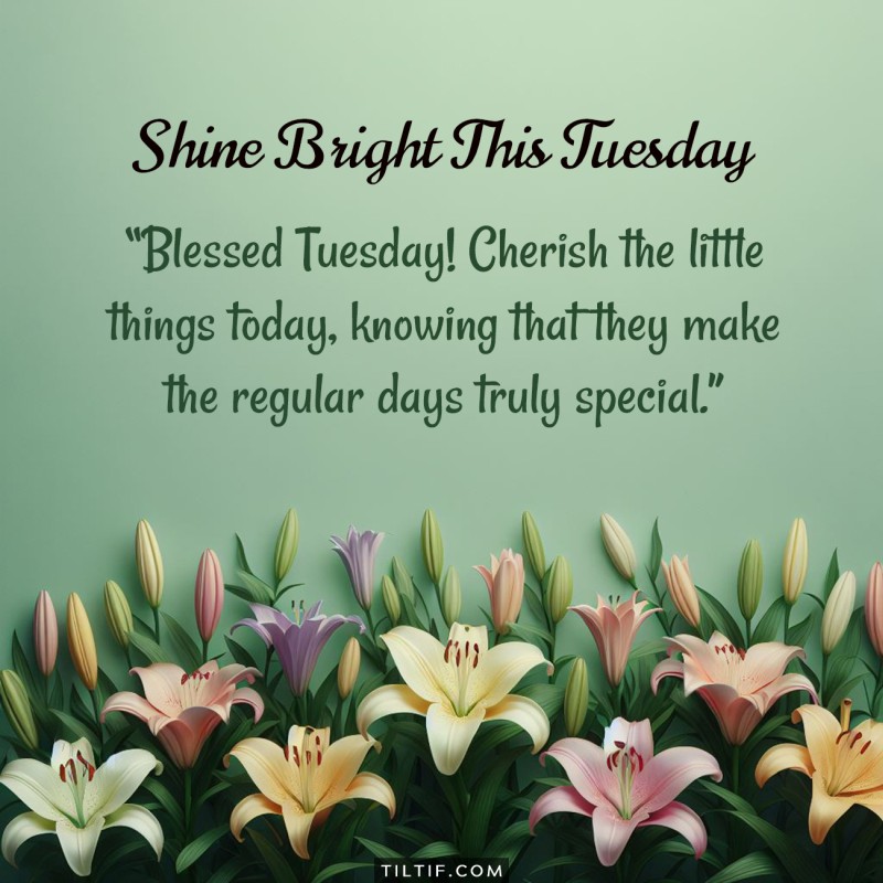 Blessed Tuesday! Cherish the little things today, knowing that they make the regular days truly special.