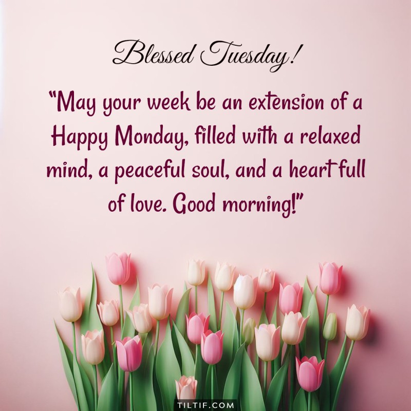 Blessed Tuesday! May your week be an extension of a Happy Monday, filled with a relaxed mind, a peaceful soul, and a heart full of love. Good morning!