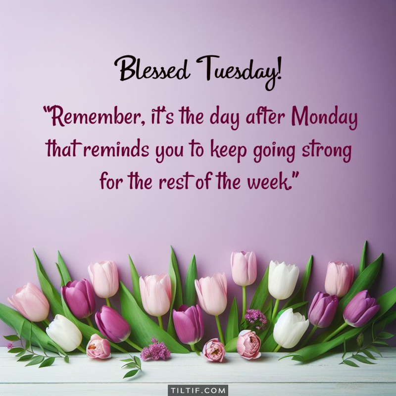 Blessed Tuesday! Remember, it's the day after Monday that reminds you to keep going strong for the rest of the week.