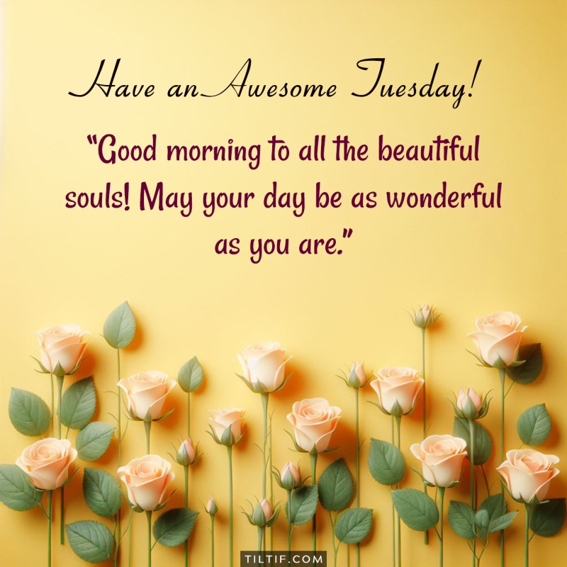 Good morning to all the beautiful souls! May your day be as wonderful as you are. Have an awesome Tuesday!