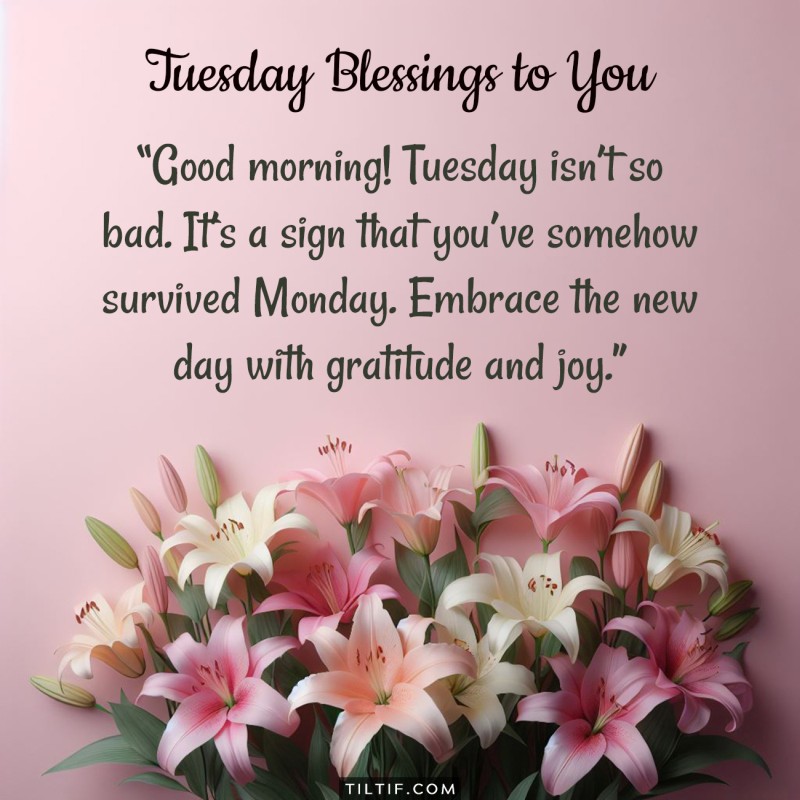 Good morning! Tuesday isn’t so bad. It’s a sign that you’ve somehow survived Monday. Embrace the new day with gratitude and joy.