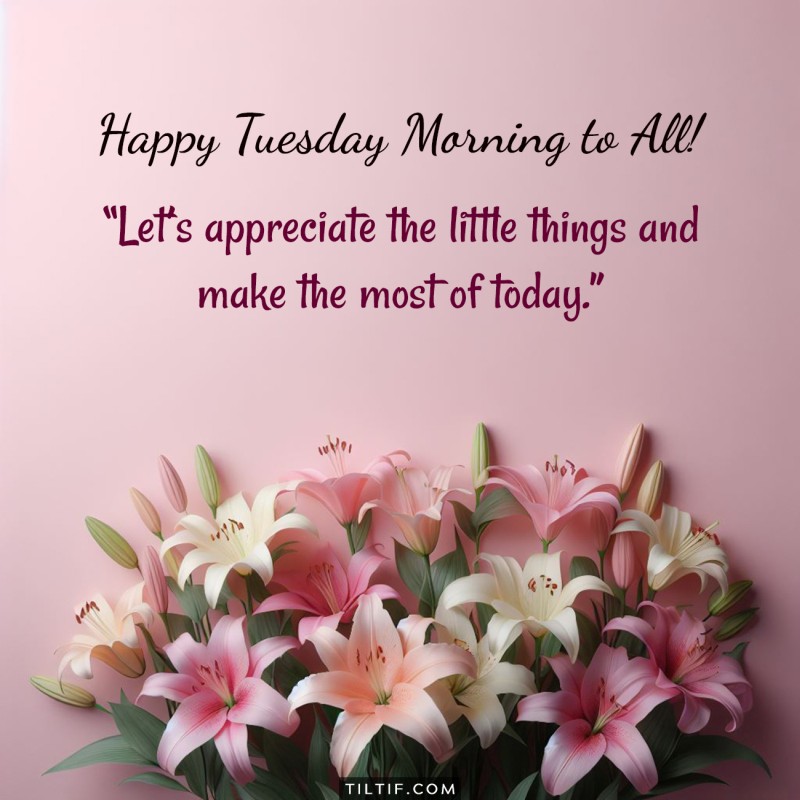 Happy Tuesday morning to all! Let's appreciate the little things and make the most of today.