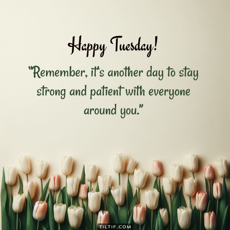 Happy Tuesday! Remember, it's another day to stay strong and patient with everyone around you.