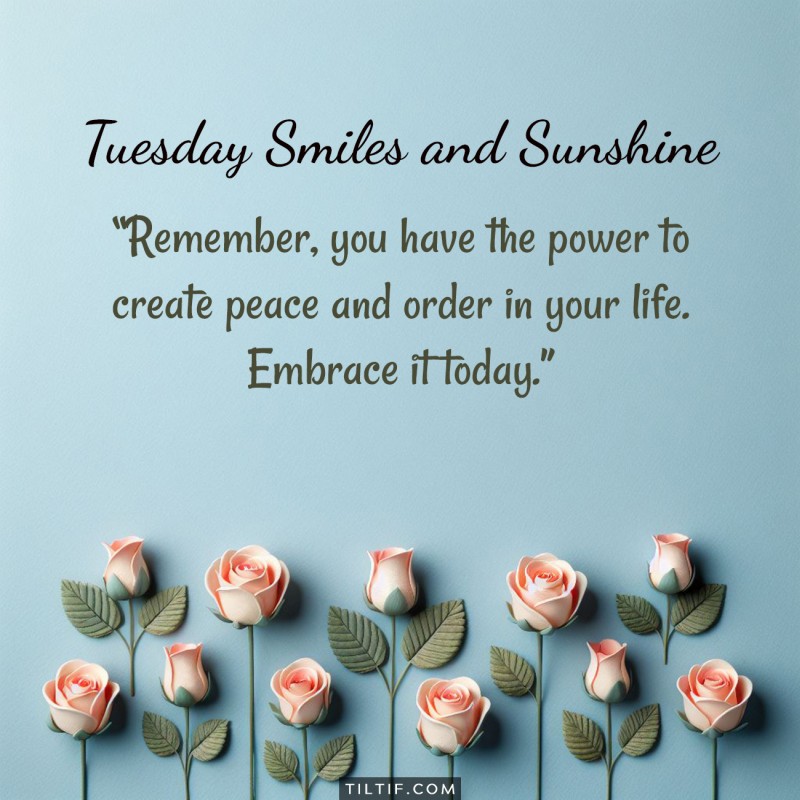 Happy Tuesday! Remember, you have the power to create peace and order in your life. Embrace it today.