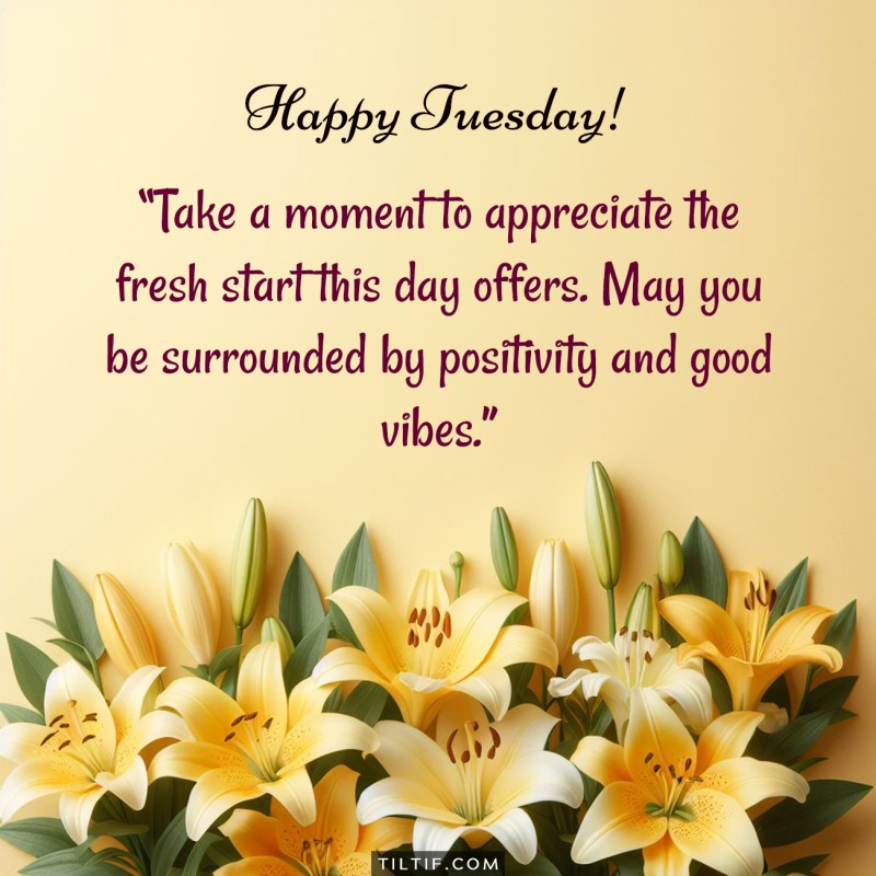 Happy Tuesday! Take a moment to appreciate the fresh start this day offers. May you be surrounded by positivity and good vibes.