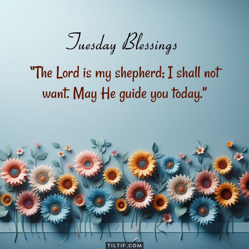 Happy Tuesday! The Lord is my shepherd; I shall not want. May He guide you today.