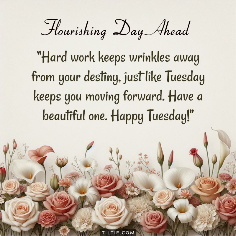 Hard work keeps wrinkles away from your destiny, just like Tuesday keeps you moving forward. Have a beautiful one. Happy Tuesday!