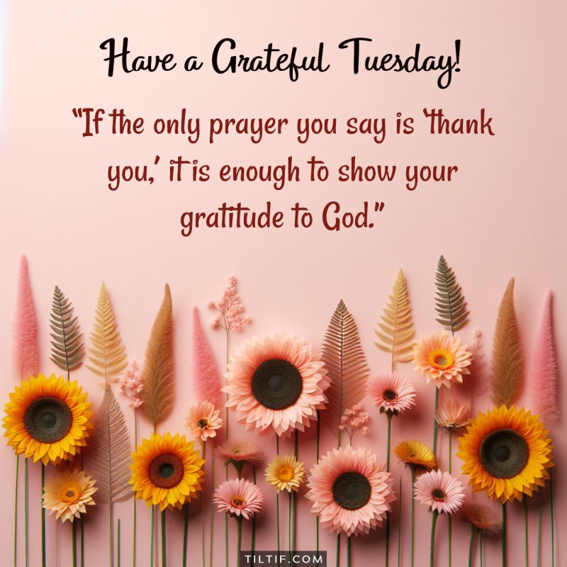 If the only prayer you say is 'thank you,' it is enough to show your gratitude to God. Have a grateful Tuesday!