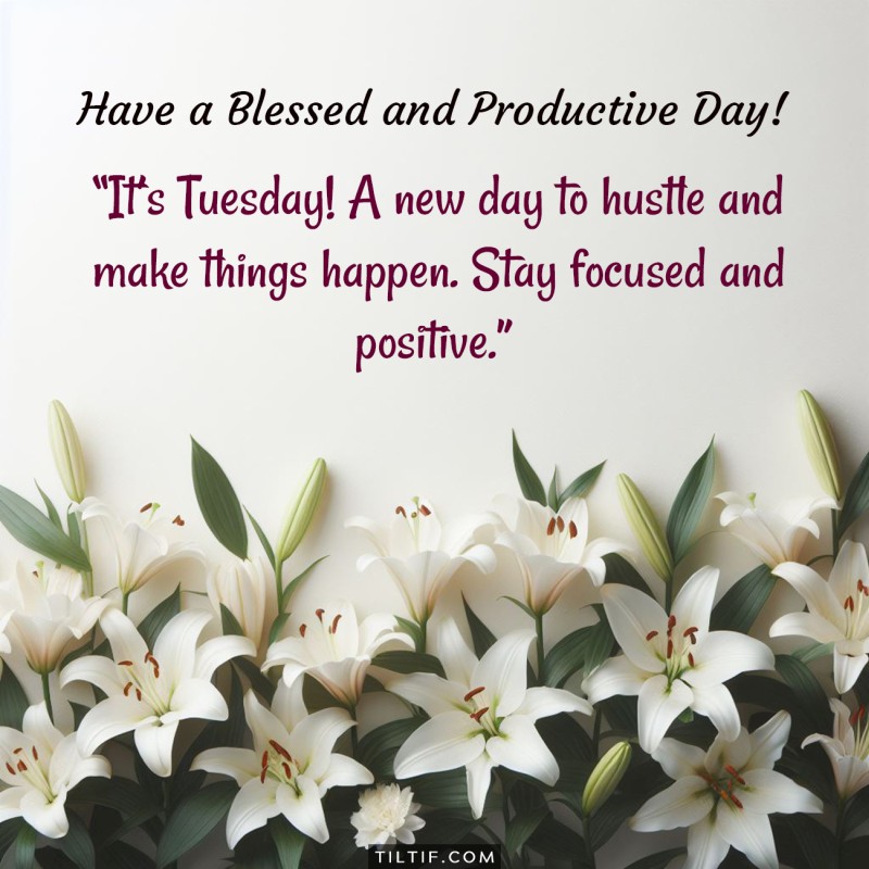 It’s Tuesday! A new day to hustle and make things happen. Stay focused and positive. Have a blessed and productive day!