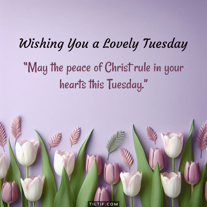 May the peace of Christ rule in your hearts this Tuesday.